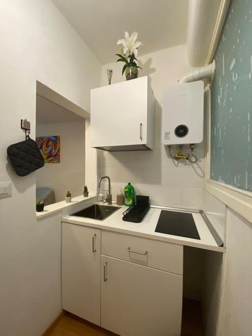 Gianfranco - City Center Apt Florence Luaran gambar